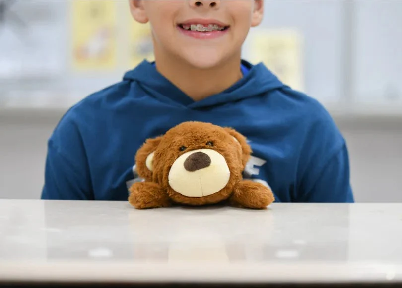 Bear Posture Pet - Image 4