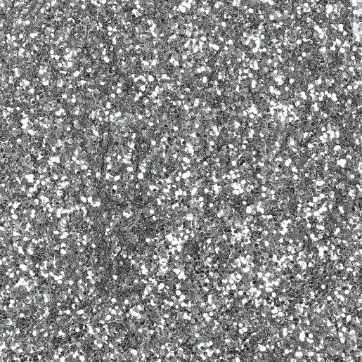 Biodegradable Glitter Silver 4oz
