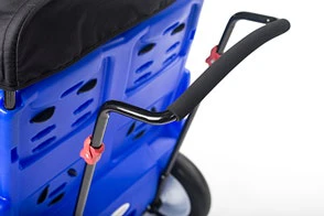 Blue Parade 4 Buggy - Image 3