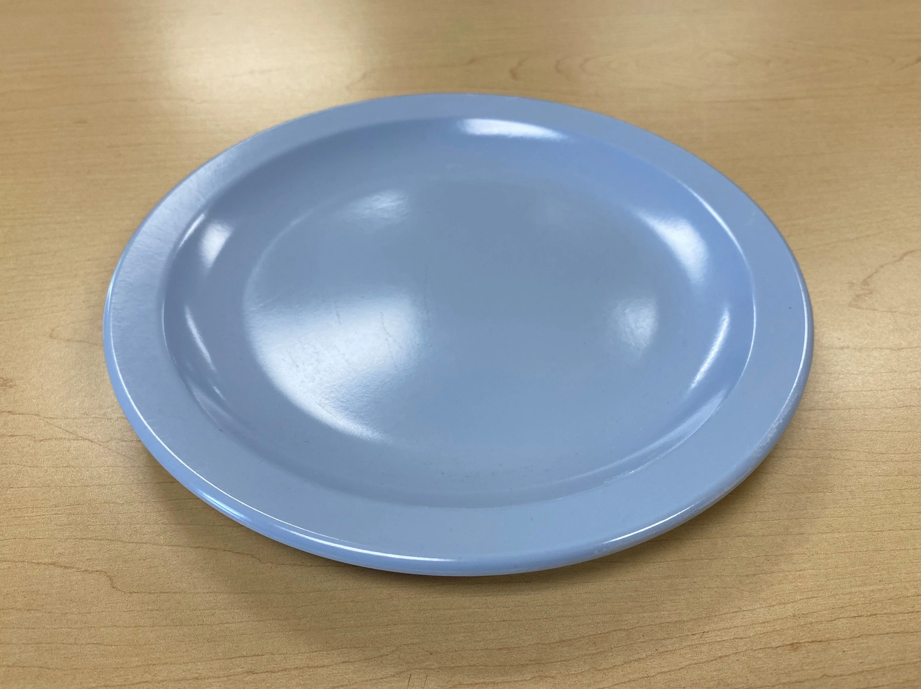 Blue Plate 9in Heavy Duty - Image 2
