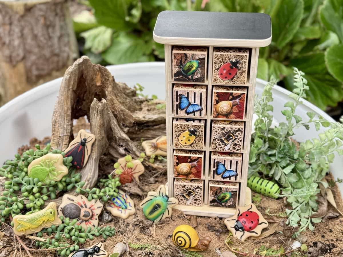 Bug Hotel 10-Frame - Image 4