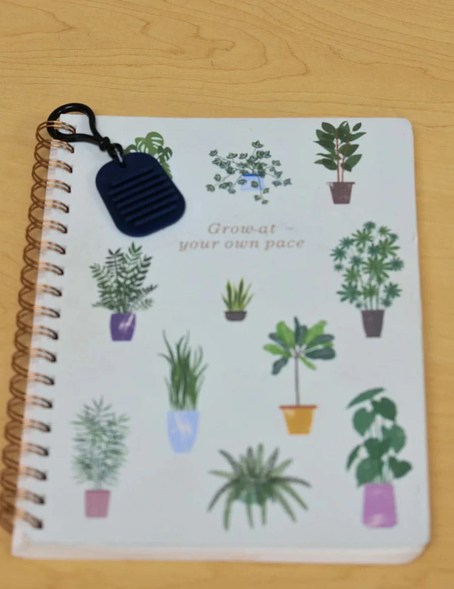 Calming Clip Key Chains 12 pcs - Image 4