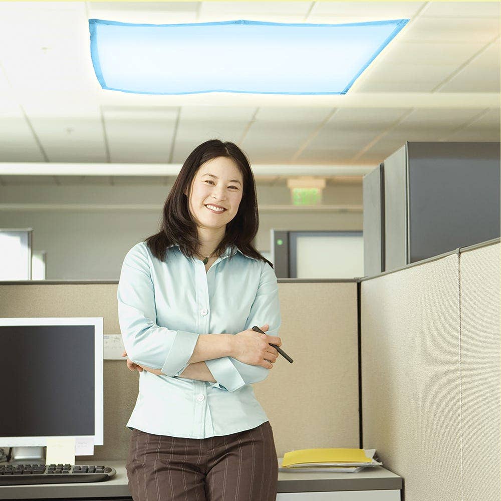 Classroom Fluorescent Light Filters - Image 10