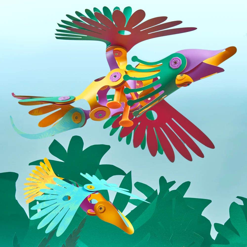 Clixo Tropical Birds Pack - Image 4