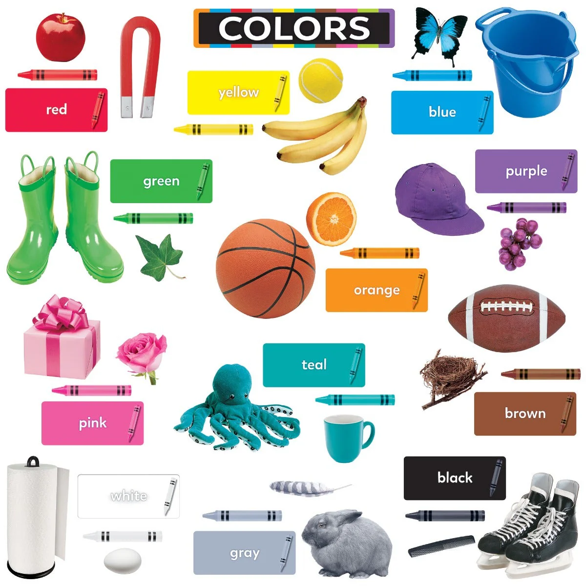 Colors All Around Us Learning Set - Image 2