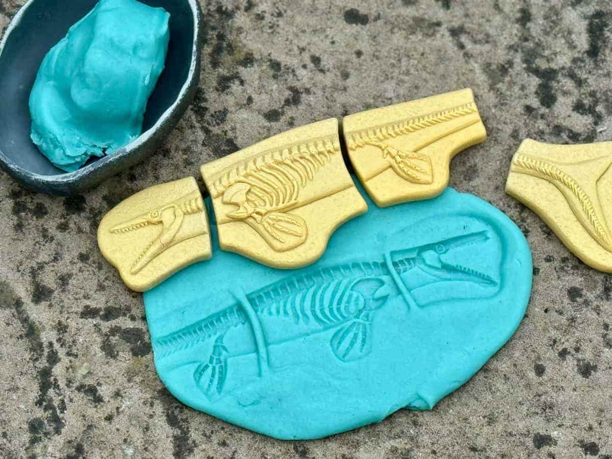 Dig and Discover Pliosaur & Stegosaurus - Image 5
