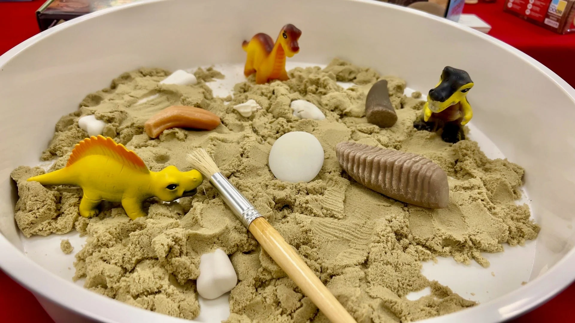 Dinosaur Bones Discovery Set - Image 5