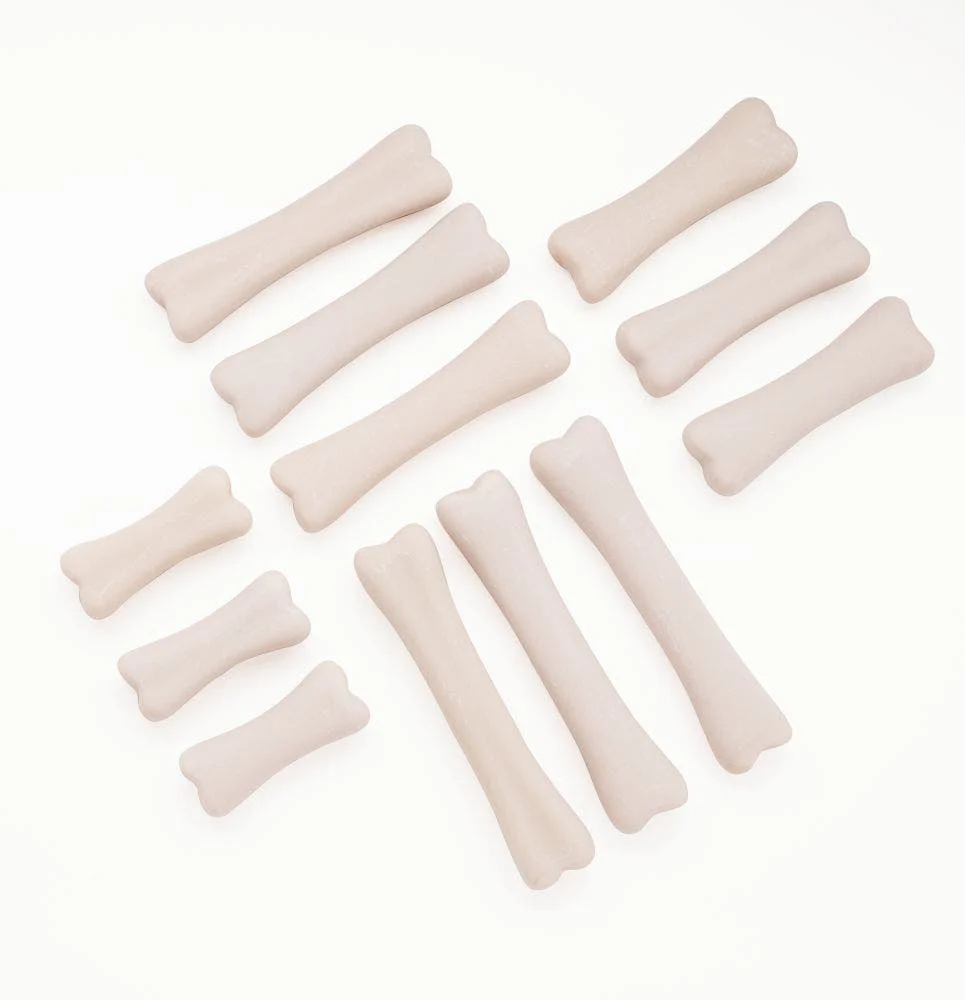 Dinosaur Bones Discovery Set - Image 7