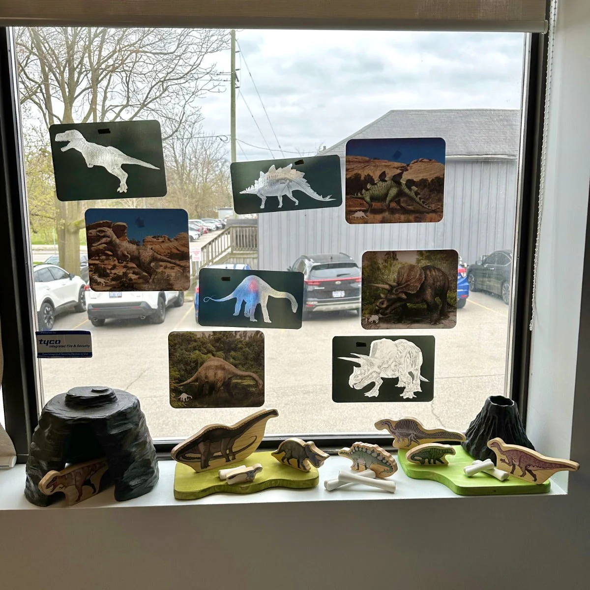 Discover Dinosaurs Picture Cards and X-rays - Image 4