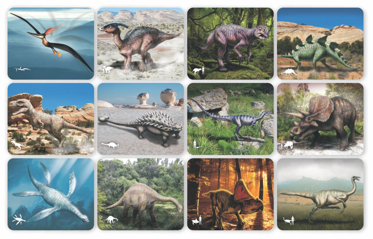 Discover Dinosaurs Picture Cards and X-rays - Image 7