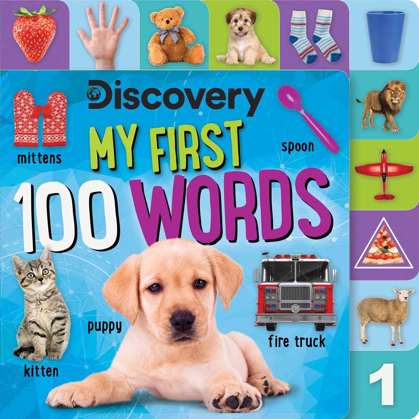 Discovery My First 100 Words
