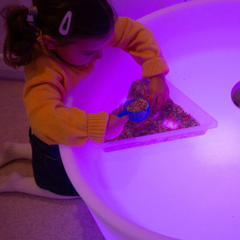 Discovery Trays Set - Image 4