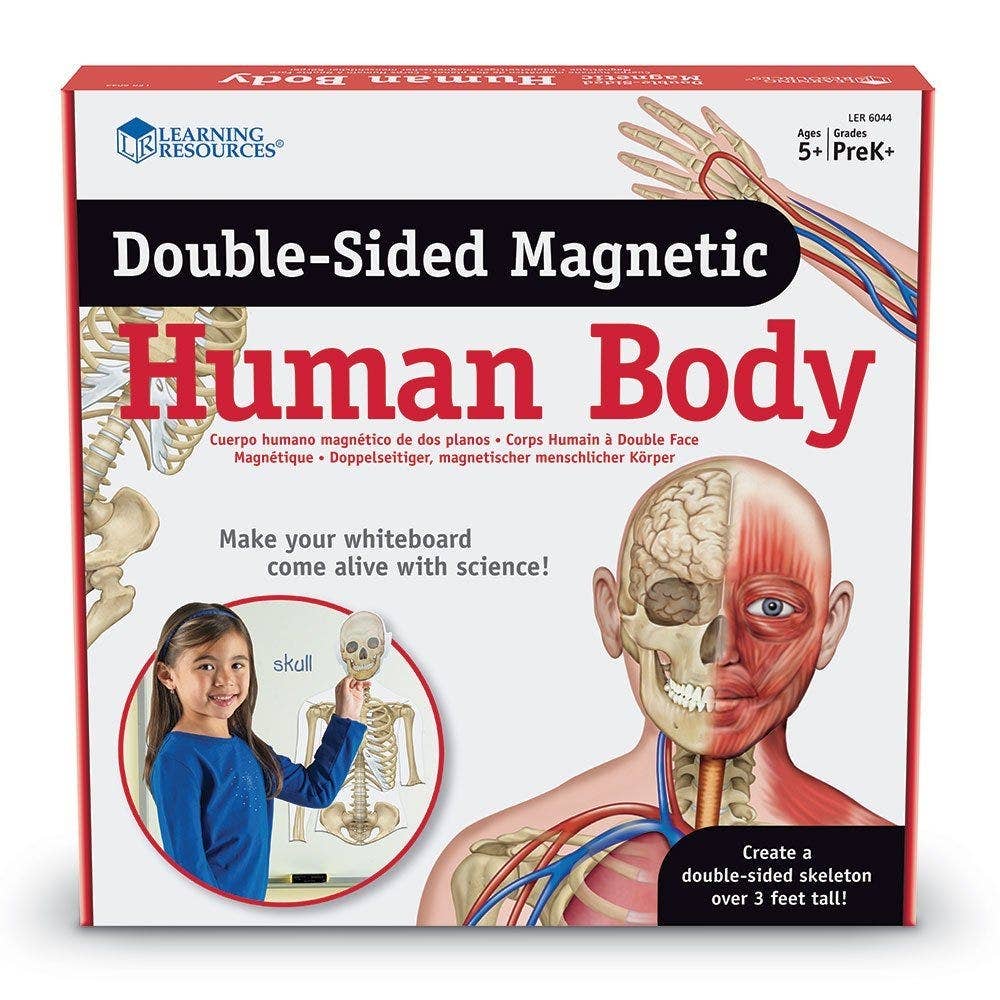 Double Sided Magnetic Human Body - Image 3