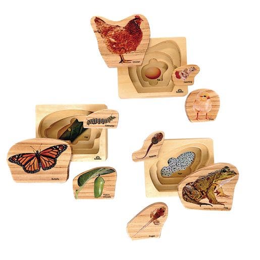 Environments earlySTEM Life Cycles Nesting Puzzles Set of 3 - Image 2