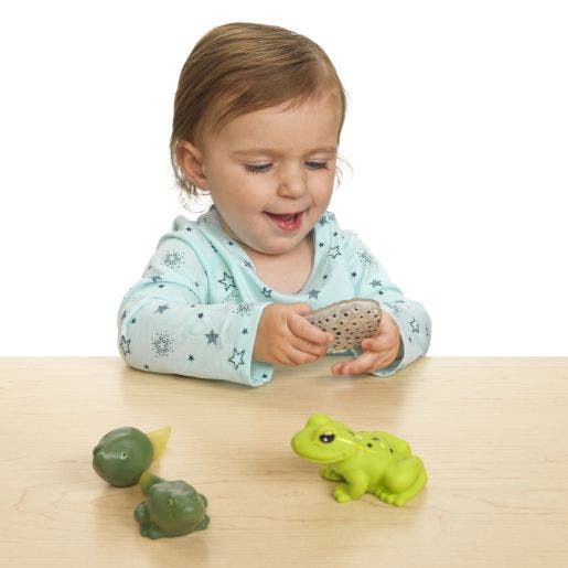 Environments My First Soft Life Cycle Frog - Image 4