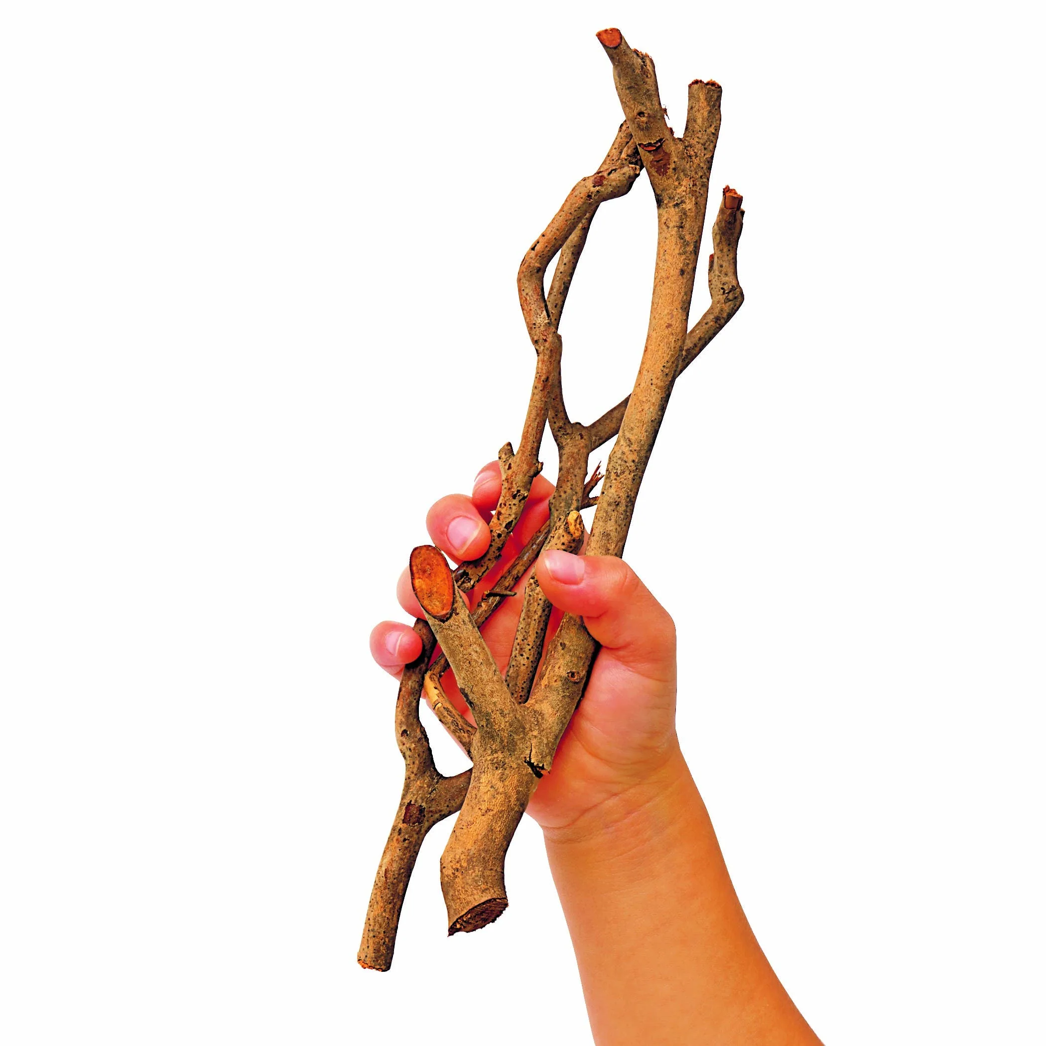 Excellerations Natural Branches 17.6 oz - Image 3