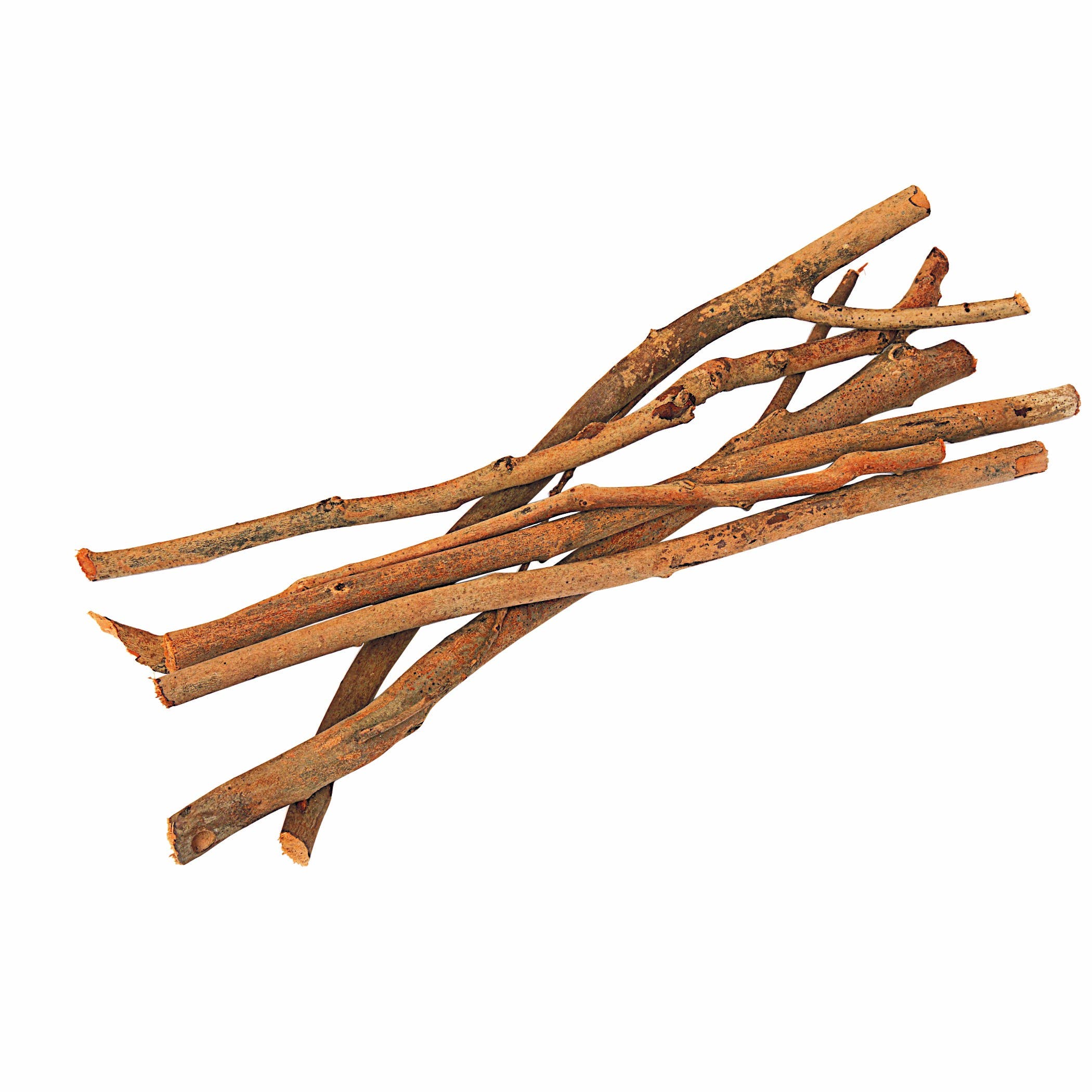 Excellerations Natural Branches 17.6 oz - Image 4