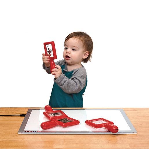 Excellerations Toddler Specimen Viewers 4 pc Set 2 - Image 2