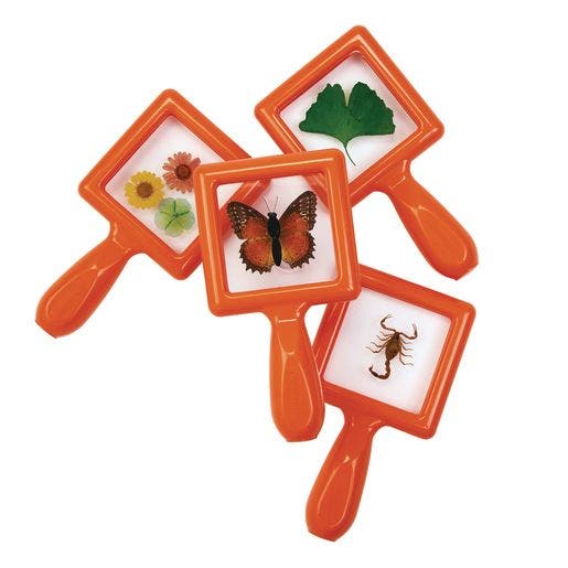 Excellerations Toddler Specimen Viewers 4 pc Set 3