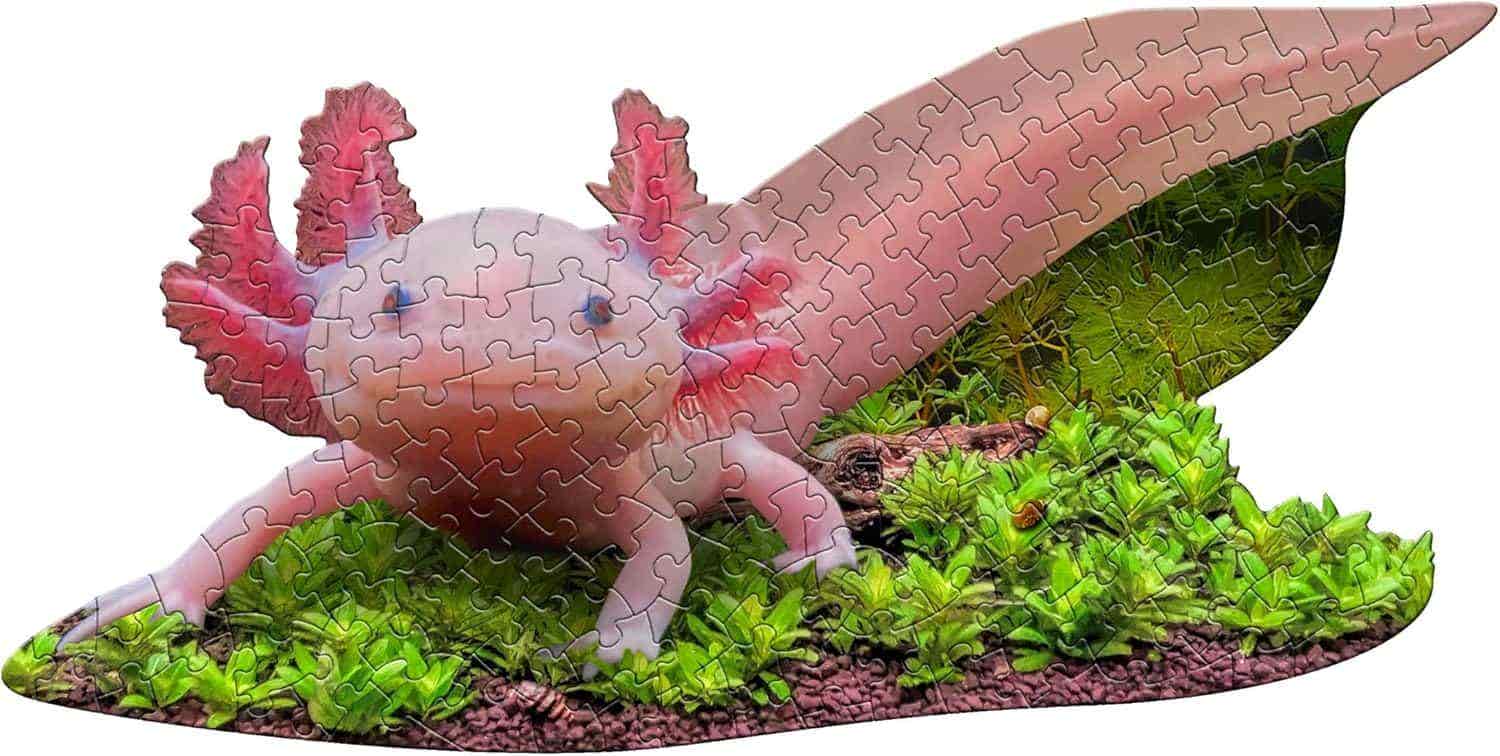 I AM Lil' Axolotl 100 pc Puzzle