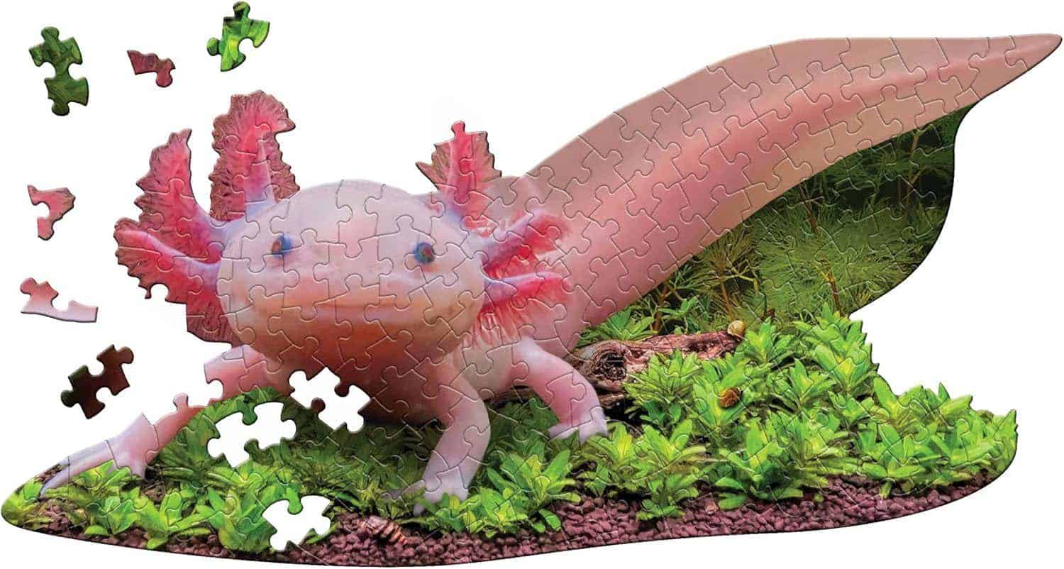 I AM Lil' Axolotl 100 pc Puzzle - Image 2
