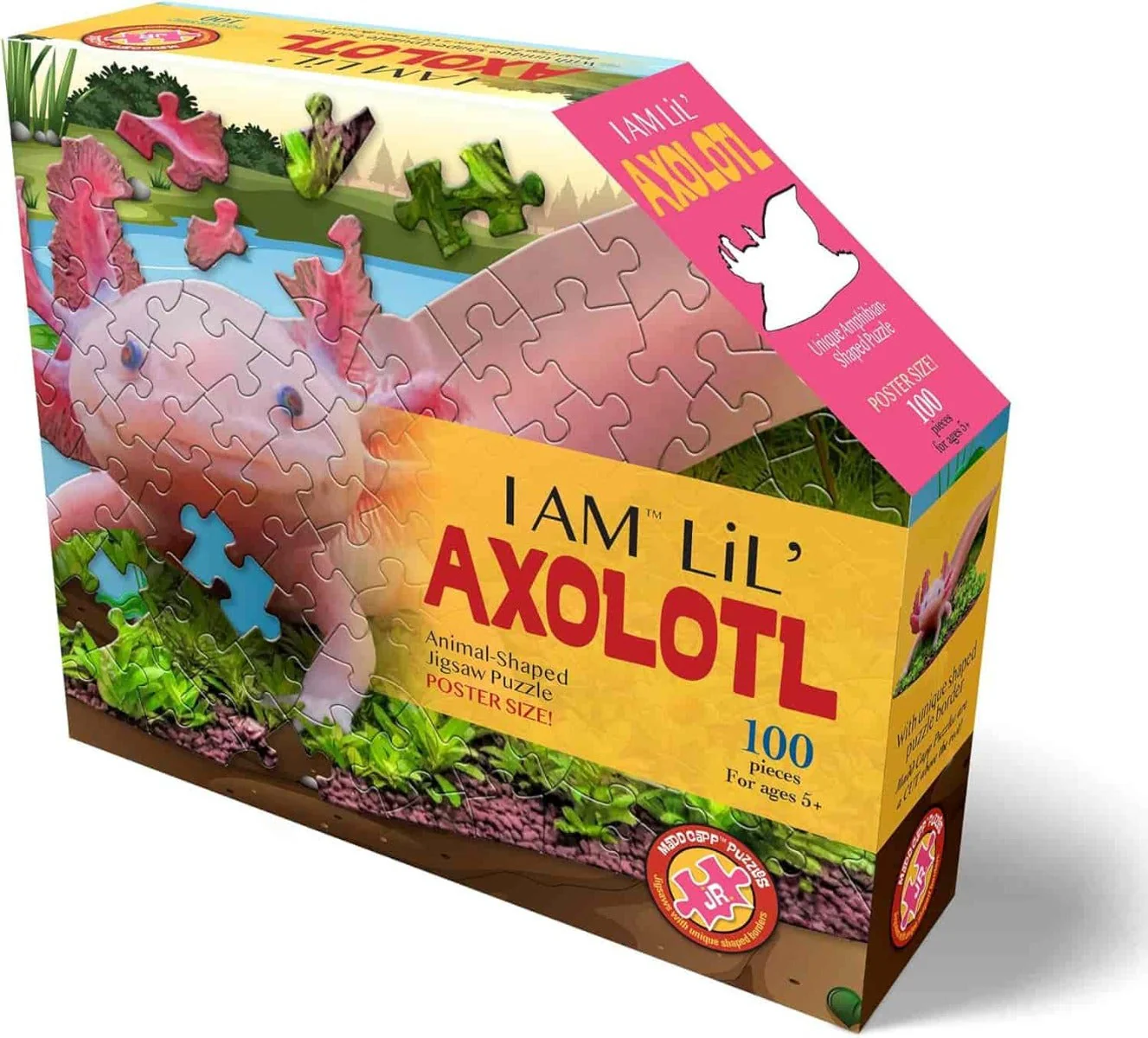 I AM Lil' Axolotl 100 pc Puzzle - Image 3
