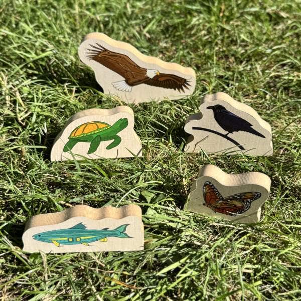 Indigenous Small World Set - Image 4