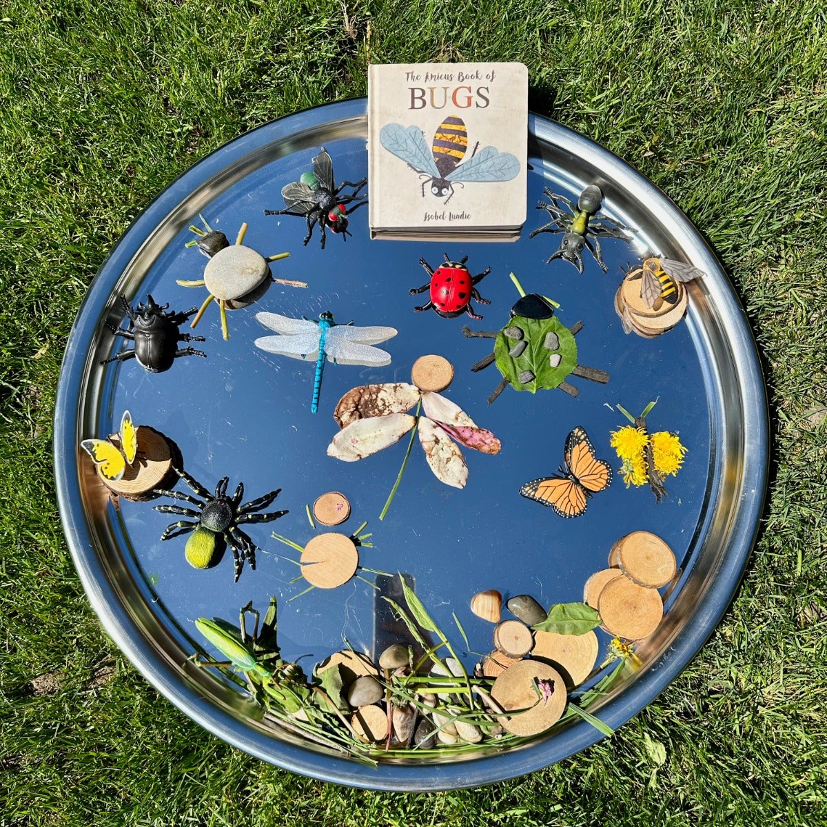 Insects - Image 2