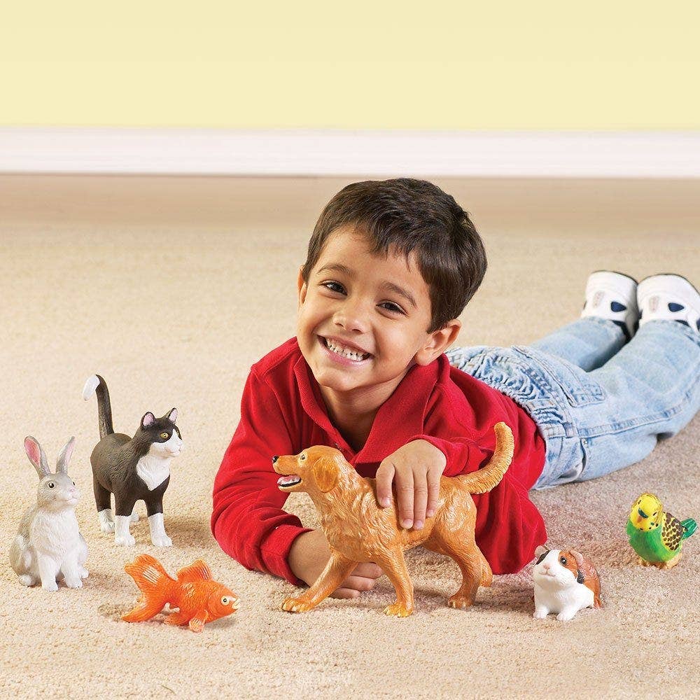 Jumbo Pets - Image 2