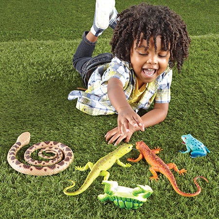 Jumbo Reptiles and Amphibians - Image 2