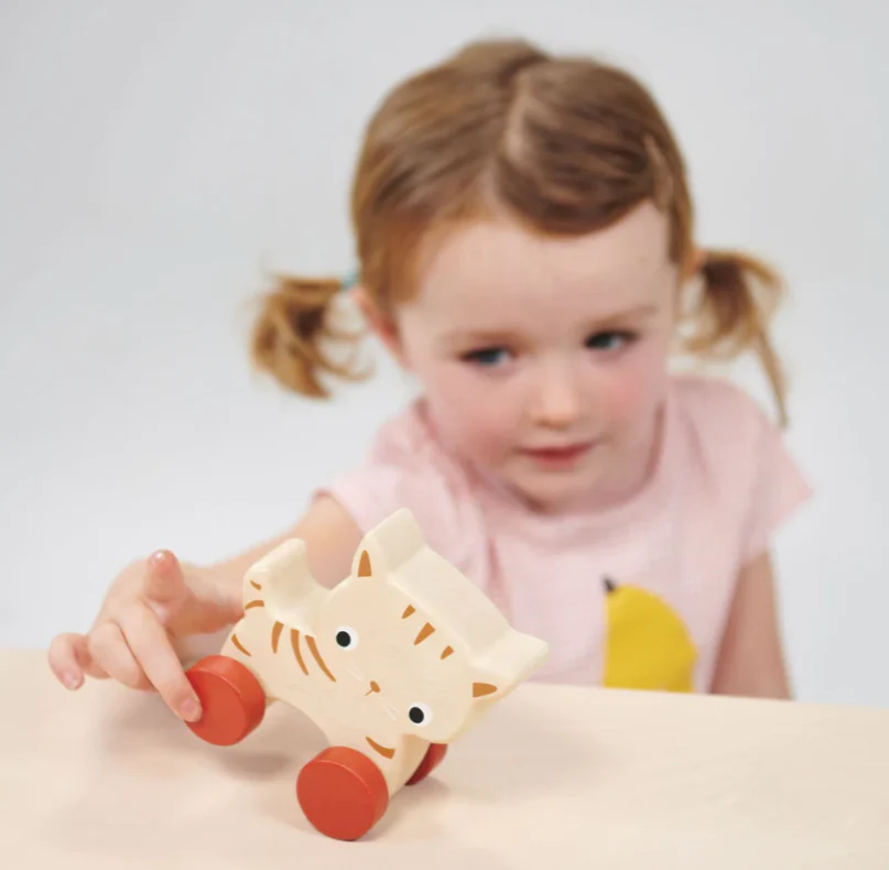 Kitten On Wheels - Image 2