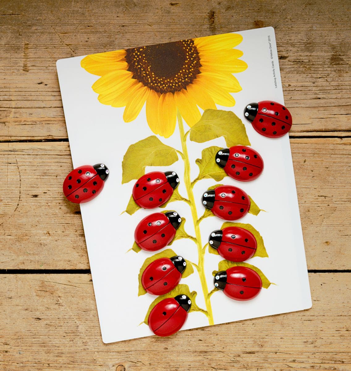 Ladybug Counting Stones - Image 2
