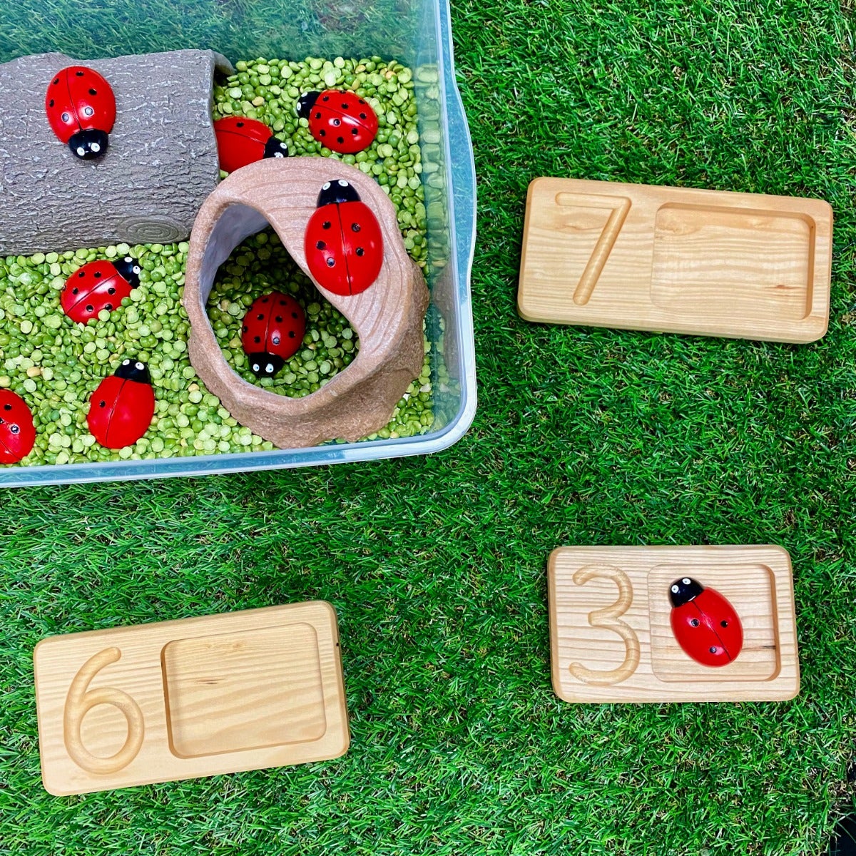 Ladybug Counting Stones - Image 5
