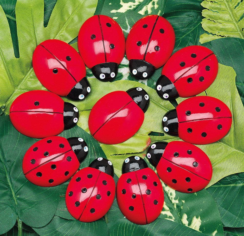 Ladybug Counting Stones - Image 6