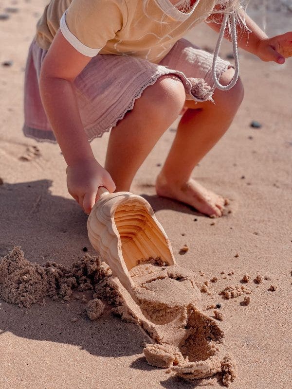 Large Wooden Scoop