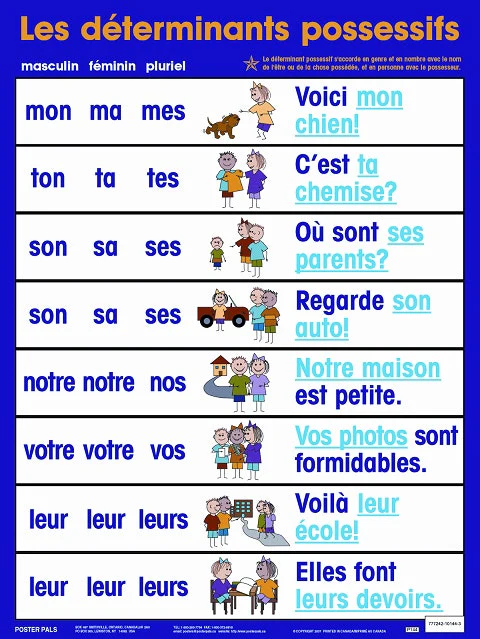 Les determinants possessifs