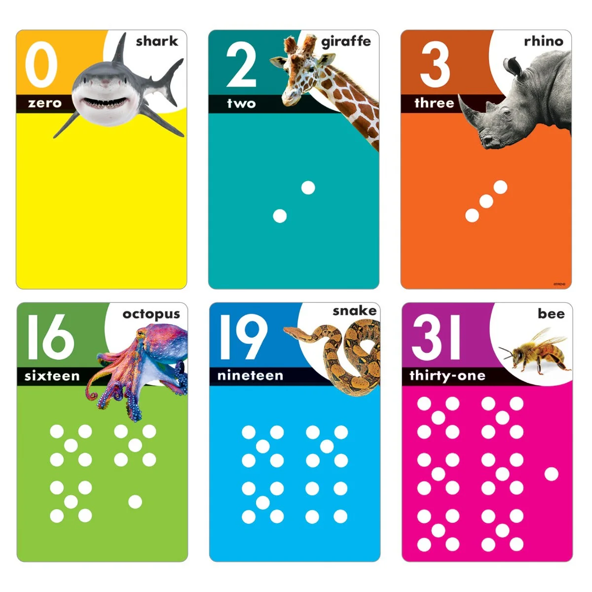 Lets Count Animals 0-31 Learning Set