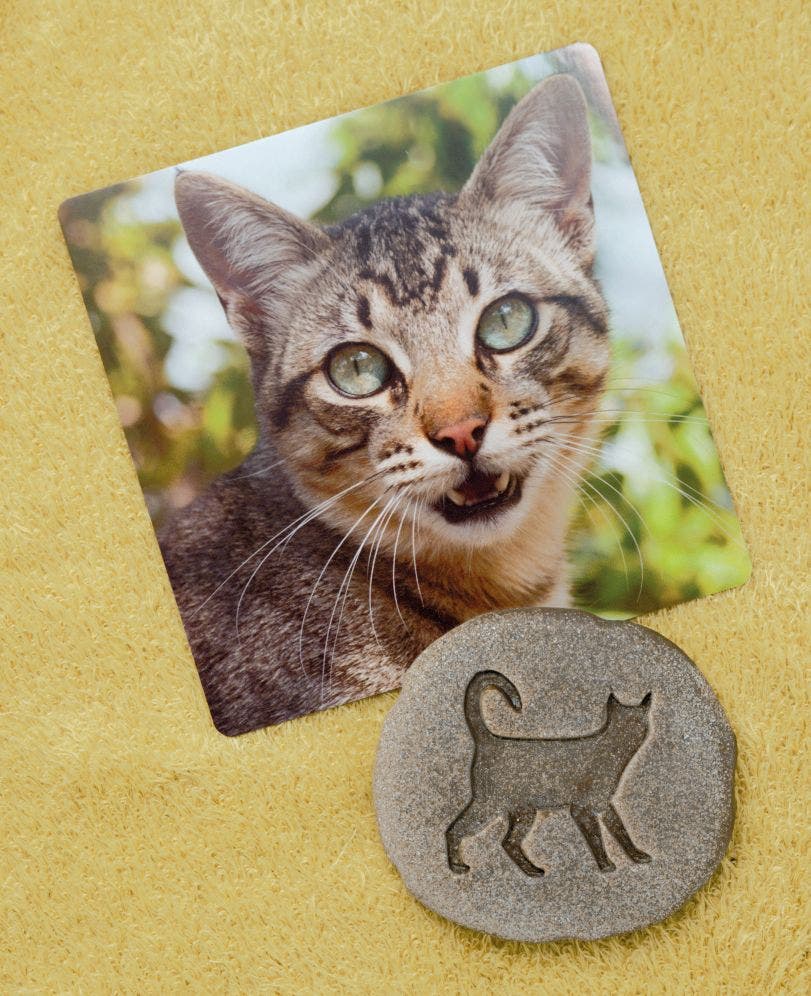Lets Investigate Farmyard Footprints Stones - Image 5