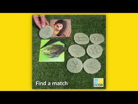 Lets Investigate Woodland Footprints - Image 9