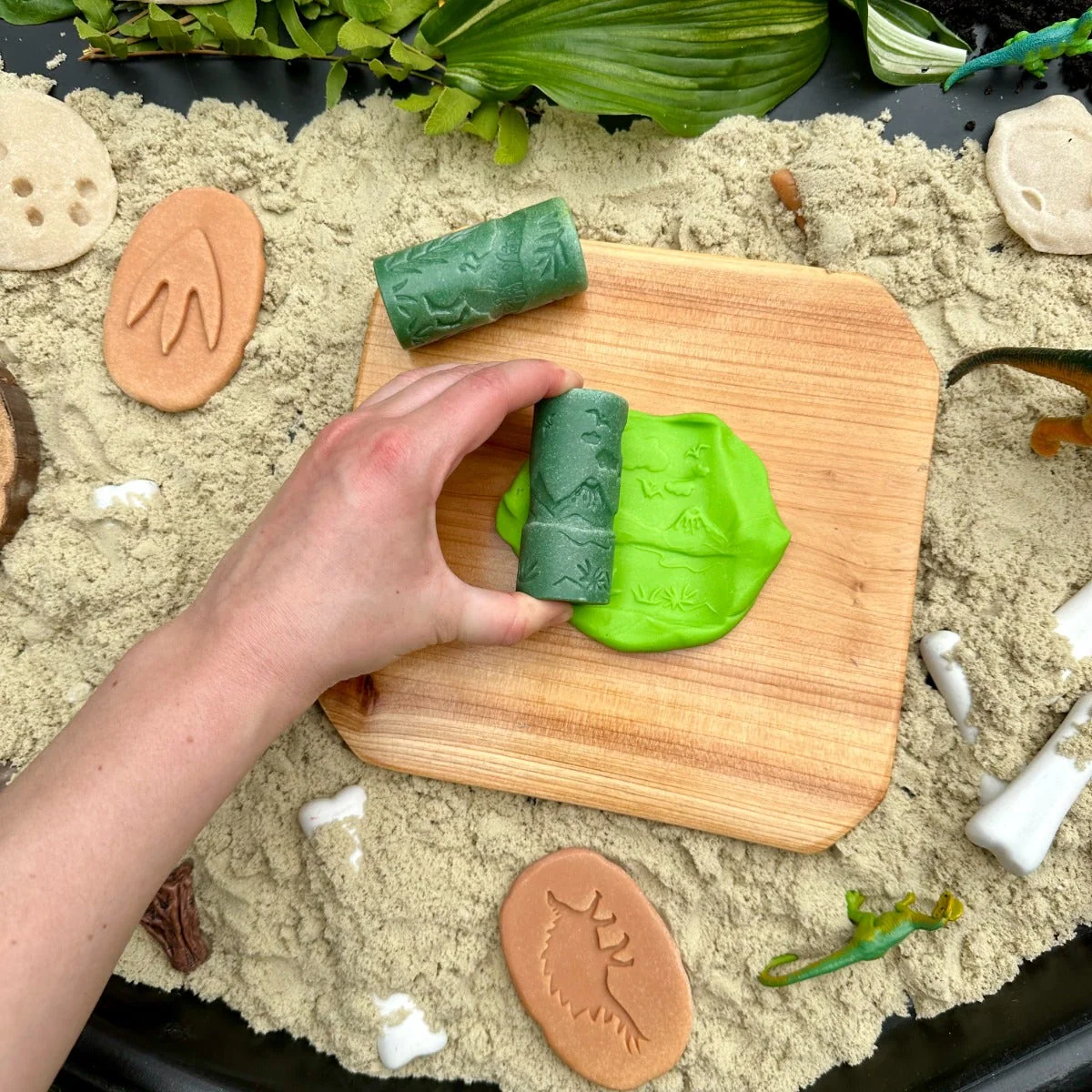 Lets Roll Dinosaurs - Image 3