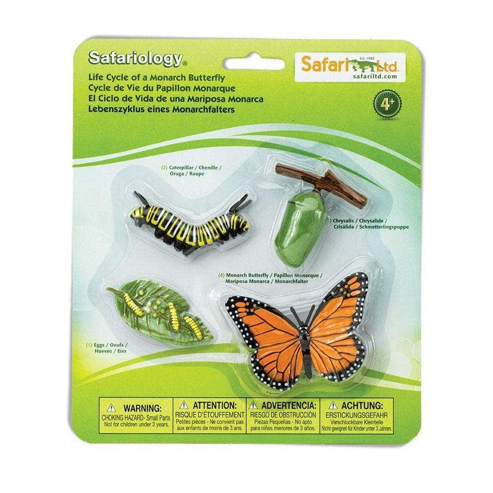 Life Cycle of a Monarch Butterfly