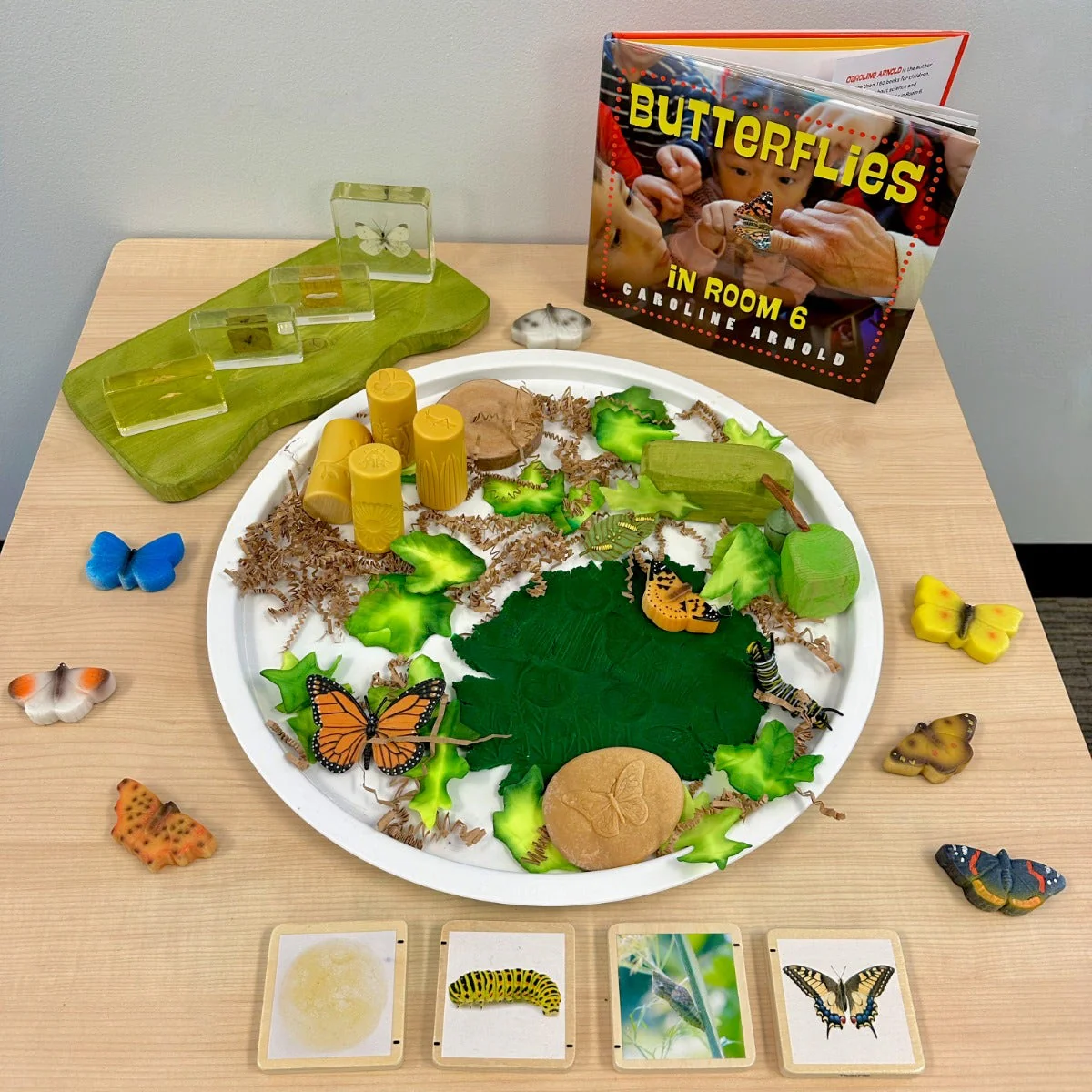 Life Cycle of a Monarch Butterfly - Image 3