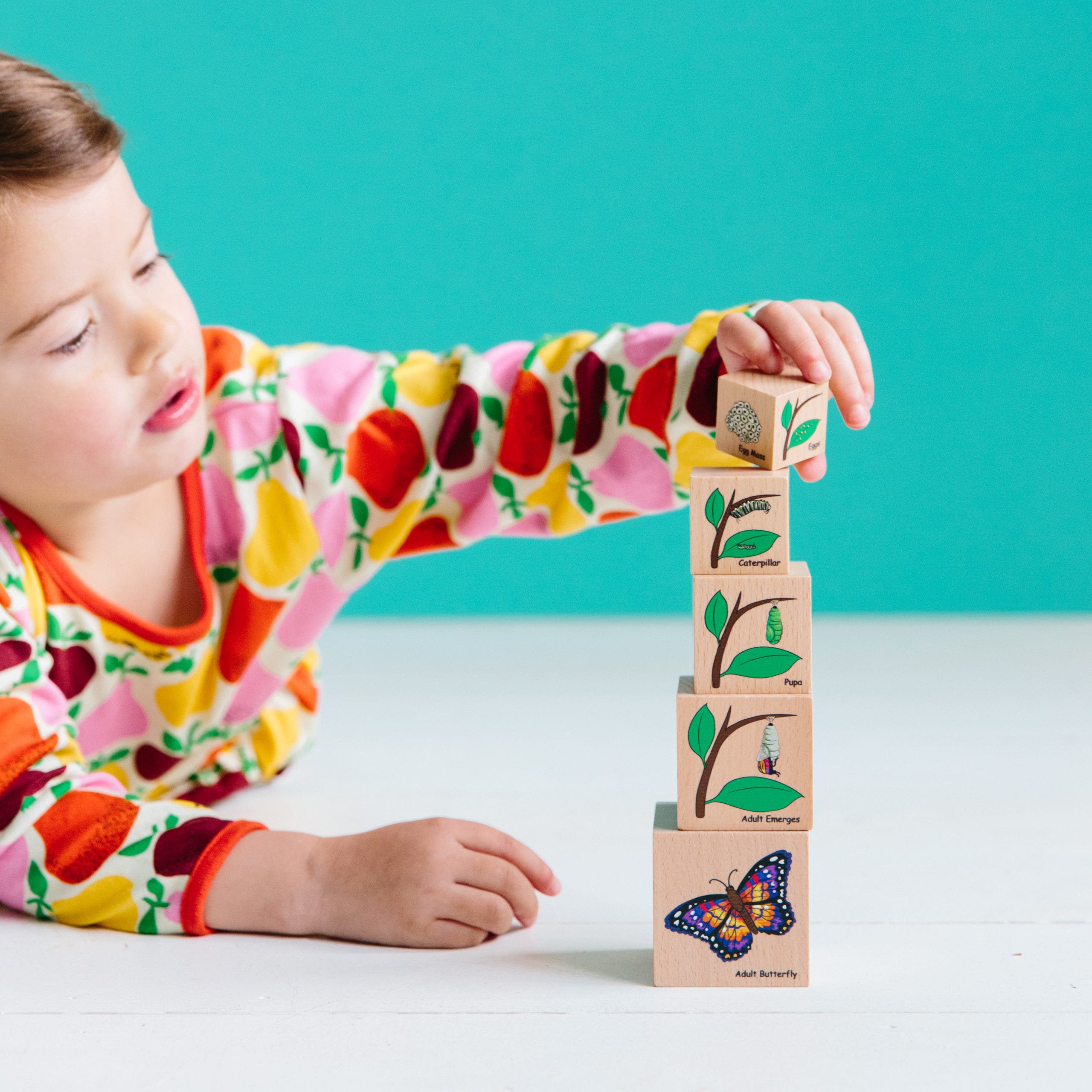Life Cycle Wooden Blocks - Image 3
