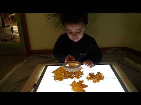 Light Panel - Image 20