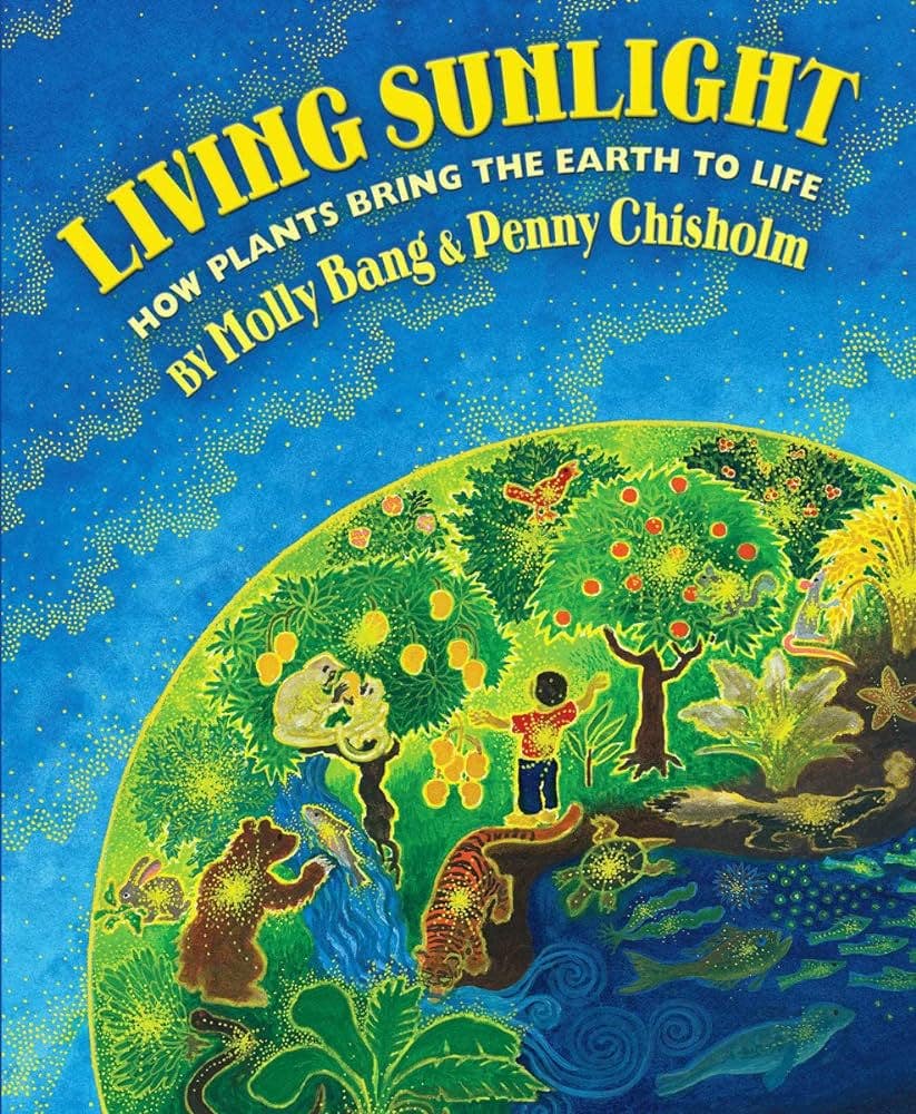 Living by Sunlight