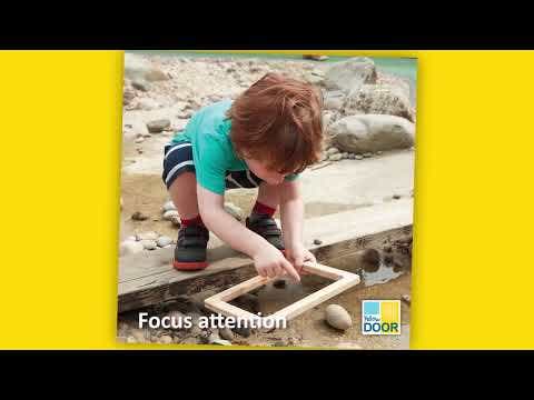 Natural Focus Frames - Image 3
