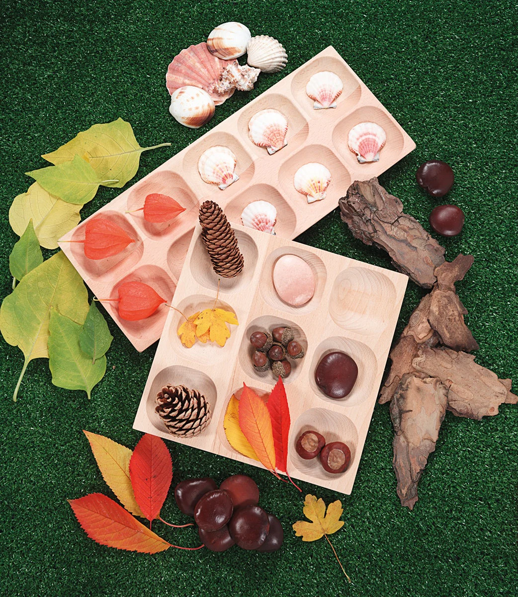 Natural Sorting Tray - Image 5