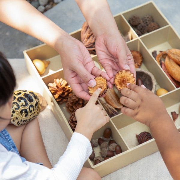 Nature's Geometry Loose Parts STEM Kit - Image 3