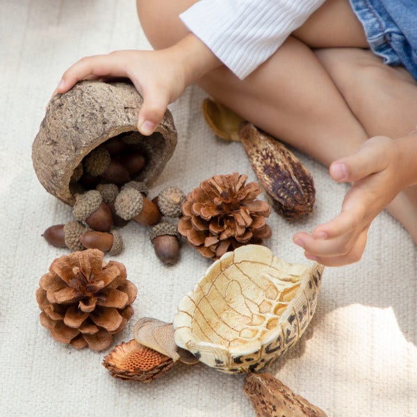 Nature's Geometry Loose Parts STEM Kit - Image 4