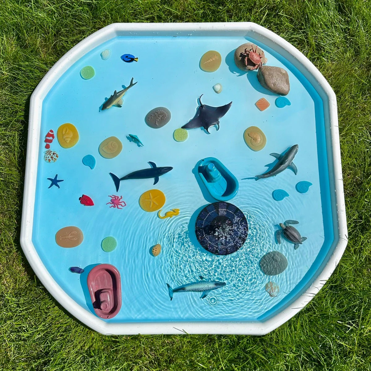 Papo Ocean Animals Set 2 4 figures - Image 3